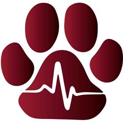 Horario de apertura Clínica Veterinaria Huellas, Palmanyola