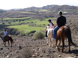 Horario de apertura The Black Horse Canarias, El Salobre