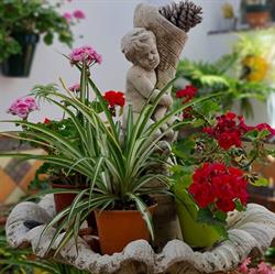 Horario de apertura Apartamentos El Barrio, Nerja