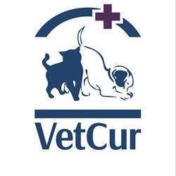 Horario de apertura VetCur, Clínica Veterinaria, Curtis