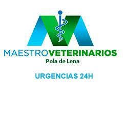 Horario de apertura Clinica Veterinaria MaestroVeterinarios, Pola de Lena