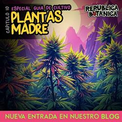 Horario de apertura Grow Shop República Botànica, Vilafranca del Penedes