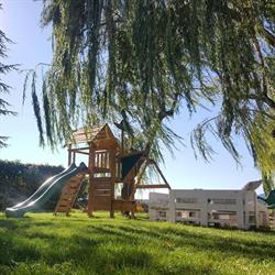 Horario de apertura Camping Cañones de Guara Formiga, Panzano