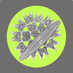 Horario de apertura Tentamus LAB - Phytolab Control, L'Hospitalet de Llobregat