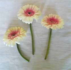 Flores con Rocío en Madrid (Arganzuela) - Horario de apertura