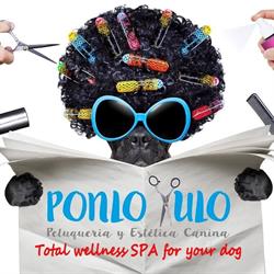 Spa Ponlo Xulo Peluquería y Estética Canina Borne en Barcelona (Ciutat Vella) - Horario de apertura