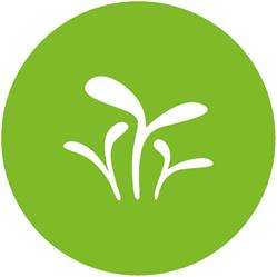 Fundación María Cristina Masaveu Peterson en Madrid (Chamberí) - Horario de apertura
