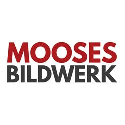 Moosesbildwerk en Zaragoza (Distrito Universidad) - Horario de apertura