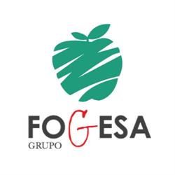 Horario de apertura Grupo FOGESA, Getafe