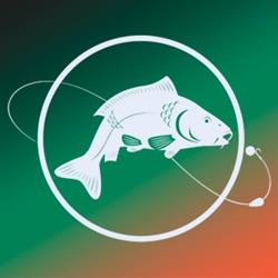 Horario de apertura El Rincón Del CarpFishing, San Sebastián de los Reyes