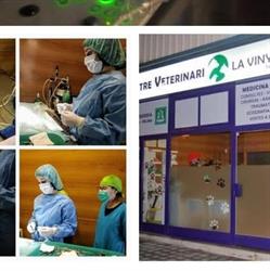 Horario de apertura Centre Veterinari La Vinyala, Sant Vicenç Dels Horts
