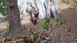 zoo nator en Barcelona (Ciutat Vella) - Horario de apertura