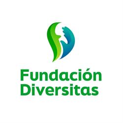 Horario de apertura Fundación Diversitas Madrid, 