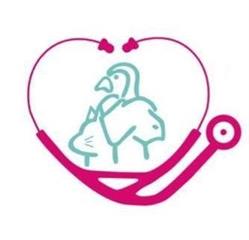 Horario de apertura Clínica Veterinaria Alora, Chiclana de la Frontera