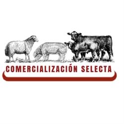Comercialización Selecta en Sevilla (Casco Antiguo) - Horario de apertura