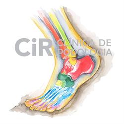 CiR Clínica de podología en Barcelona (Sarrià-Sant Gervasi) - Horario de apertura