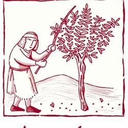 Horario de apertura Aceites Vizcántar (Aceite de Oliva a domicilio AOVE Catas y Excursiones), Priego de Córdoba