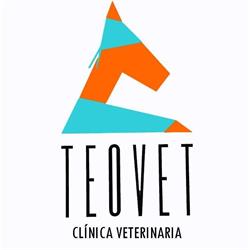 Horario de apertura Clinica Veterinaria Teovet, Cacheiras