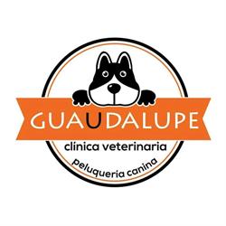 Horario de apertura Clínica Veterinaria Guadalupe, 
