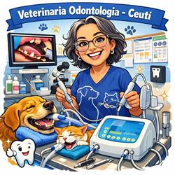 Horario de apertura Clinica Veterinaria CeuVet, Ceuti