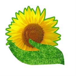 Horario de apertura Floristeria Gira-sol, Palma de Mallorca