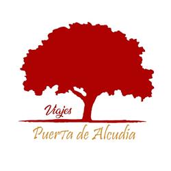 Horario de apertura Viajes Puerta De Alcudia, Puertollano