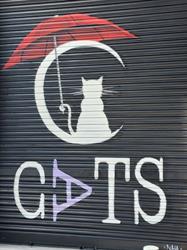 Horario de apertura Asociación Cats, Murcia
