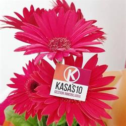 Horario de apertura Kasas10, Logroño