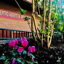 CENTRO ABIERTO ANTROPOSOFÍA EN MADRID en Madrid (Moncloa-Aravaca) - Horario de apertura
