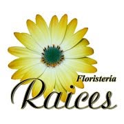 Floristeria Raices en Gijón (Centro) - Horario de apertura