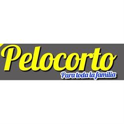 Pelocorto en Zaragoza (Centro) - Horario de apertura