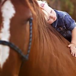 Horario de apertura Fullcover Seguros de Caballos, Las Rozas de Madrid