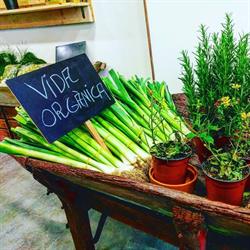 Horario de apertura Espai Orgànic - El Jardí salut natural, Gavà