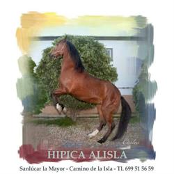 Horario de apertura Escuela De Equitación Hípica Alisla, Sanlúcar la Mayor