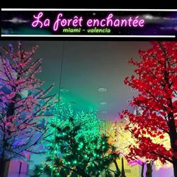 Horario de apertura La Forêt Enchantée, Valencia