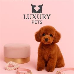 Luxury Pets en Madrid (Salamanca) - Horario de apertura