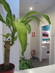CLINICA DENTAL JCC en Granada (Zaidín) - Horario de apertura