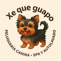 Horario de apertura Xe Que Guapo, Sant Joan d'Alacant