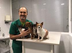 Clínica Veterinaria Taquari en Barcelona (Sant Martí) - Horario de apertura