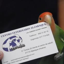 Horario de apertura ALJARAQUE CENTRO VETERINARIO, Aljaraque