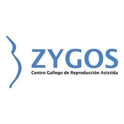 Horario de apertura Zygos Centro Gallego de Reproduccion Asisitida, SL, Santiago de Compostela