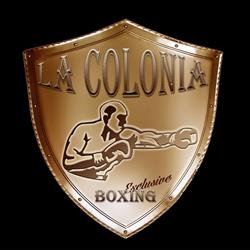Horario de apertura La Colonia Exclusive Boxing, San Sebastián de los Reyes