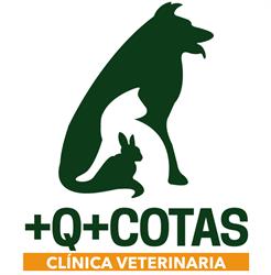 Horario de apertura Clínica Veterinaria Más que Mascotas, Alicante