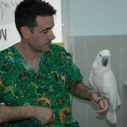 Horario de apertura Clínica Veterinaria Amazonia, Elda