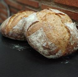 Horario de apertura Panaderia Marzá, Castellón de la Plana