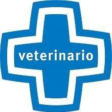 Horario de apertura Consultorio Veterinario Roberto, Mazarambroz