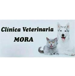 Horario de apertura Clínica Veterinaria Mora, 