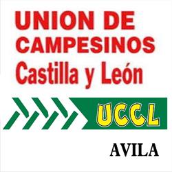 Horario de apertura UCCL-AVILA, Ávila