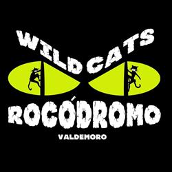 Horario de apertura Wild Cats Rocódromo, Valdemoro