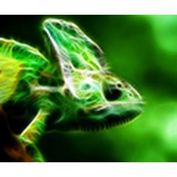 Horario de apertura Reptil Parc, Viladecans